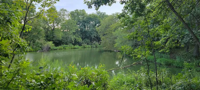 Backwoods Campground and RV Park Picture 4