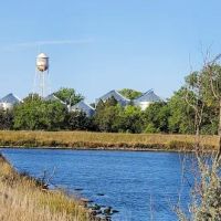 Old Lake Carthage ico