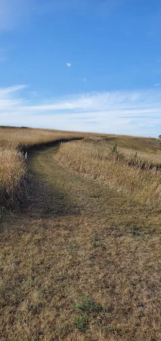 Old Lake Carthage Picture 6