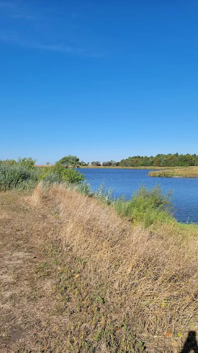 Old Lake Carthage Picture 7