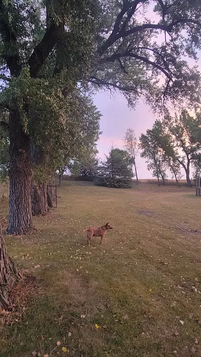 Carthage City Park (Campground) Picture 9
