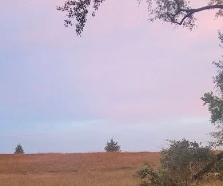 Carthage City Park (Campground)