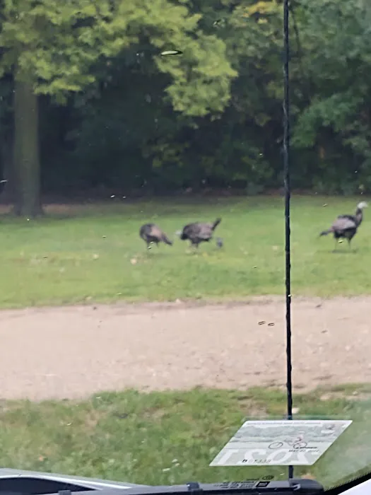 Lake Poinsett Campground 1 Picture 6