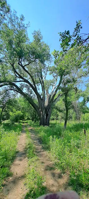 Olivet Campground Picture 8