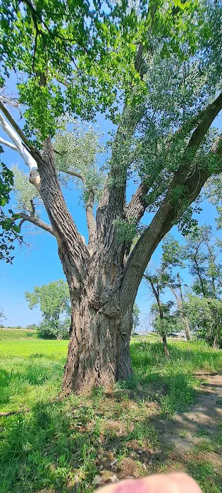 Olivet Campground Picture 7