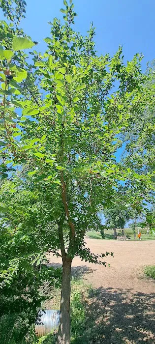 Olivet Campground Picture 6