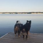 Gavins Point Horse Camp