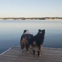 Gavins Point Horse Camp ico