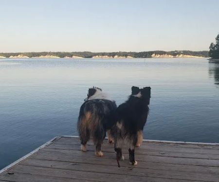 Gavins Point Horse Camp