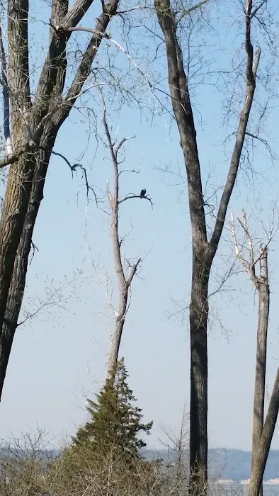 Weigand Campground Picture 9