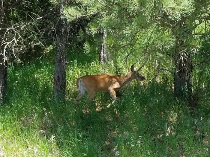 Sioux Council Boy Scout Reservation Picture 8