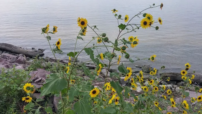 Burbach Campground Picture 7