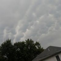 Newman Grove City Park ico