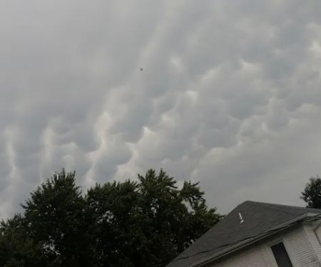 Newman Grove City Park