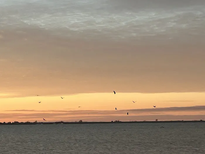 Lake North Campground Picture 3