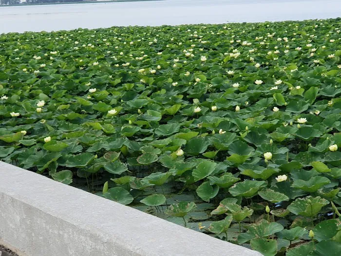 Lake North Campground Picture 6