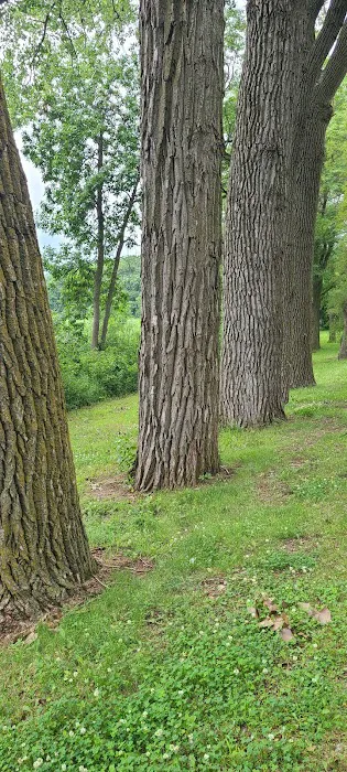 Loup Park Campground Picture 6