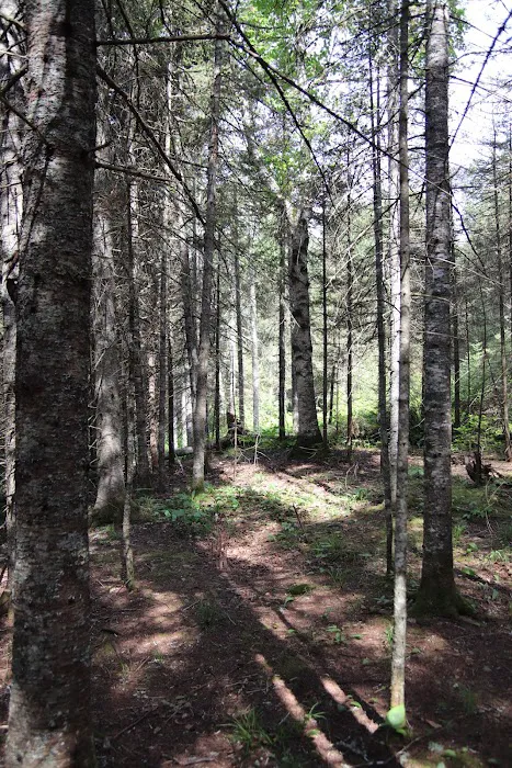 Finland Campground Picture 7
