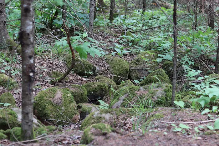 Finland Campground Picture 2