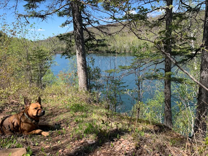 Bear Lake Campsite Picture 9