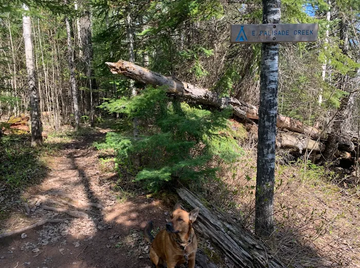 Palisade Creek East Campsite Picture 3