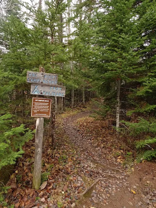 Palisade Creek East Campsite Picture 2