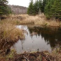 Round Mountain Beaver Pond Camp ico