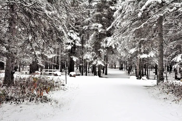 Eckbeck Campground Picture 4