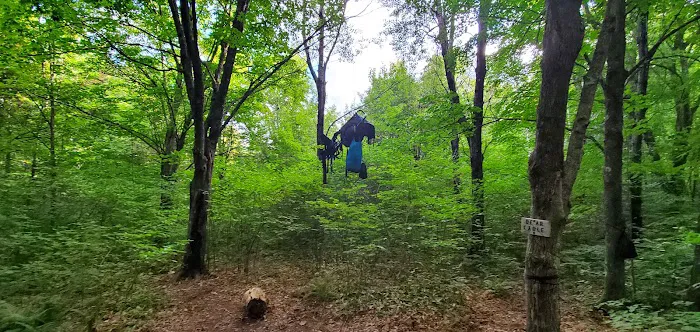 Leskinen Creek Camp Picture 3