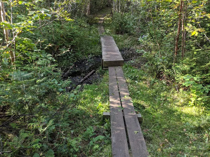 Leskinen Creek Camp Picture 6