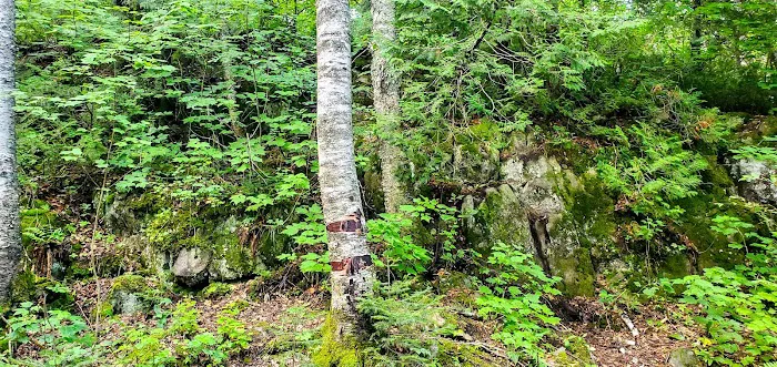 North Sonju Lake Camp Picture 7