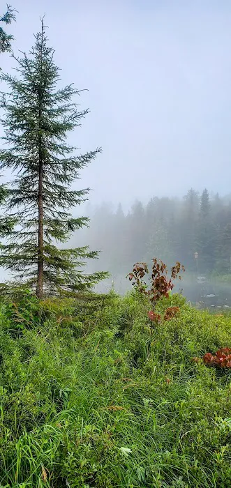 North Sonju Lake Camp Picture 2