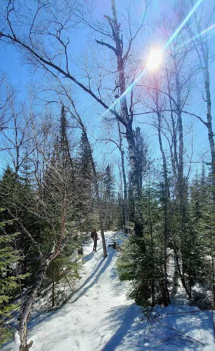 Divide Lake Campground & Backcountry Sites Picture 9