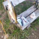 Divide Lake Campground & Backcountry Sites