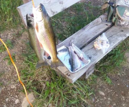 Divide Lake Campground & Backcountry Sites