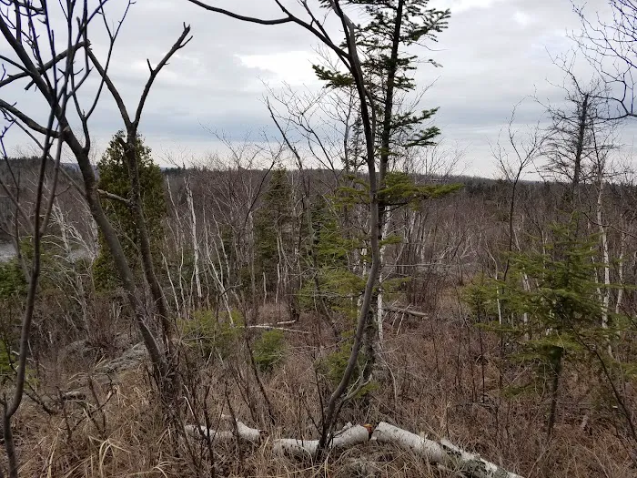 West Kennedy Creek Camp Picture 6