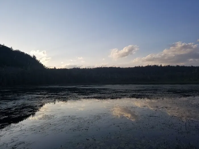 West Kennedy Creek Camp Picture 2