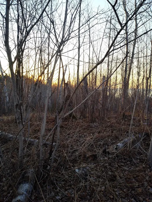 West Kennedy Creek Camp Picture 5