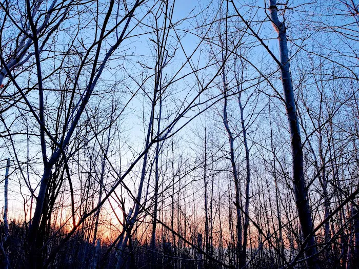 West Kennedy Creek Camp Picture 7