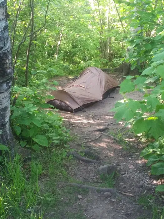 West Kennedy Creek Camp Picture 8