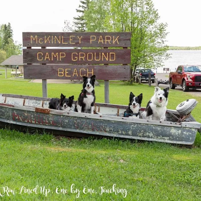 McKinley Park Campground Picture 6