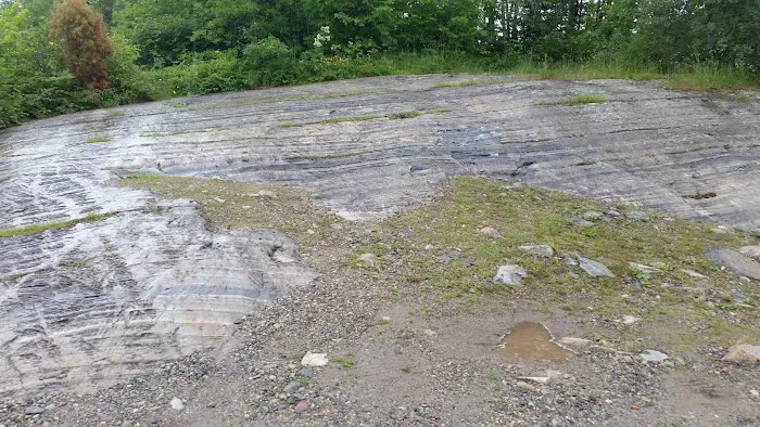 McKinley Park Campground Picture 7