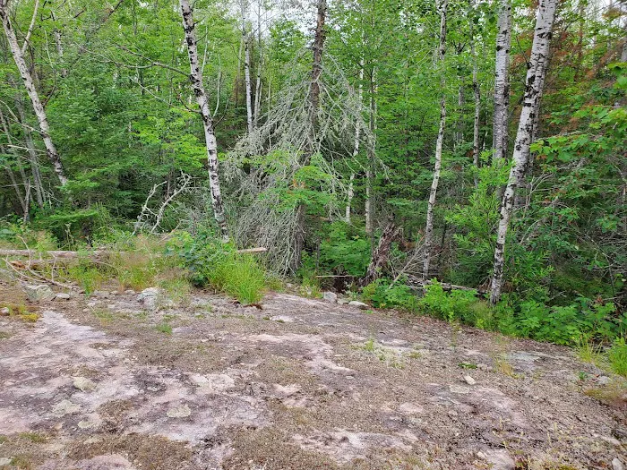 Vermilion Ridge Campground Picture 9