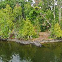 Pine Island North East USFS Campsite ico
