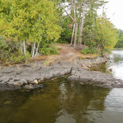 Pine Island North East USFS Campsite Picture 3