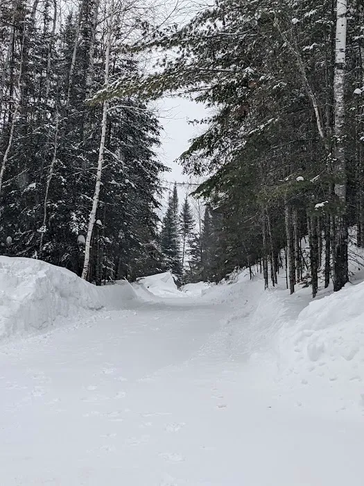 Timber Trail Resort and Campgrounds Picture 8