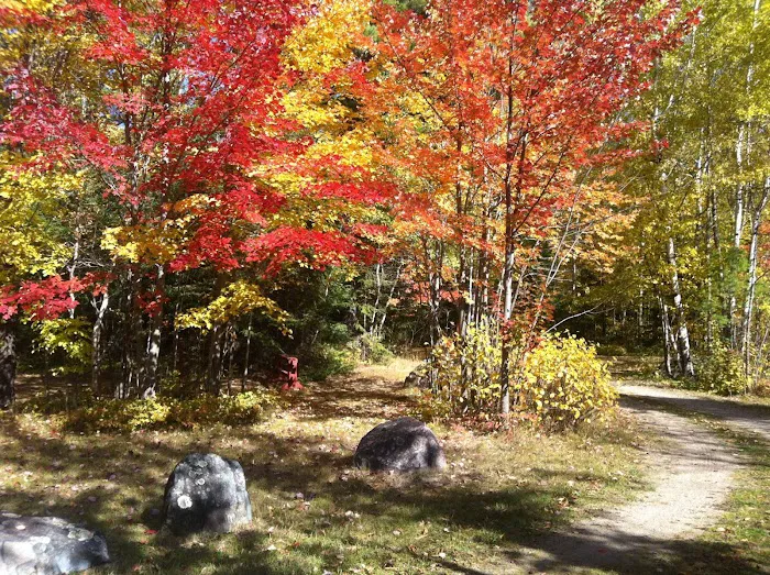 Cliff Wold's Campground Picture 10
