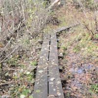 Hogback Lake Rustic Campground & Backcountry Sites ico