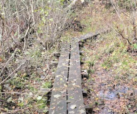 Hogback Lake Rustic Campground & Backcountry Sites