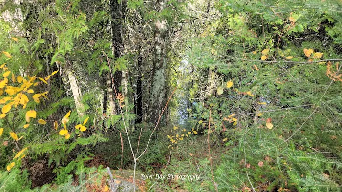 Hogback Lake Rustic Campground & Backcountry Sites Picture 10